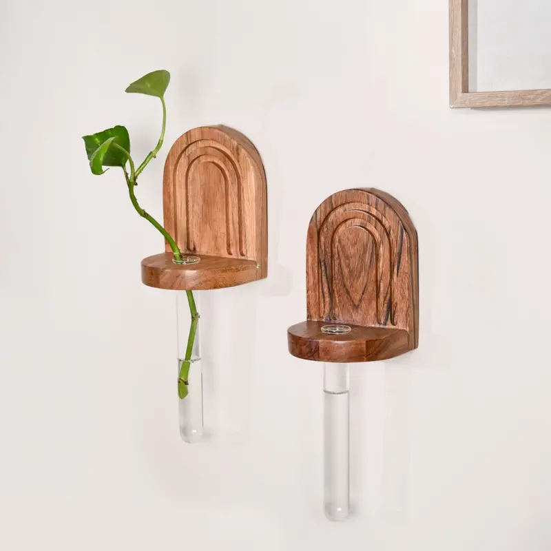 Acacia Wood Wall-Mounted Test Tube Planter (2-Pack) 1