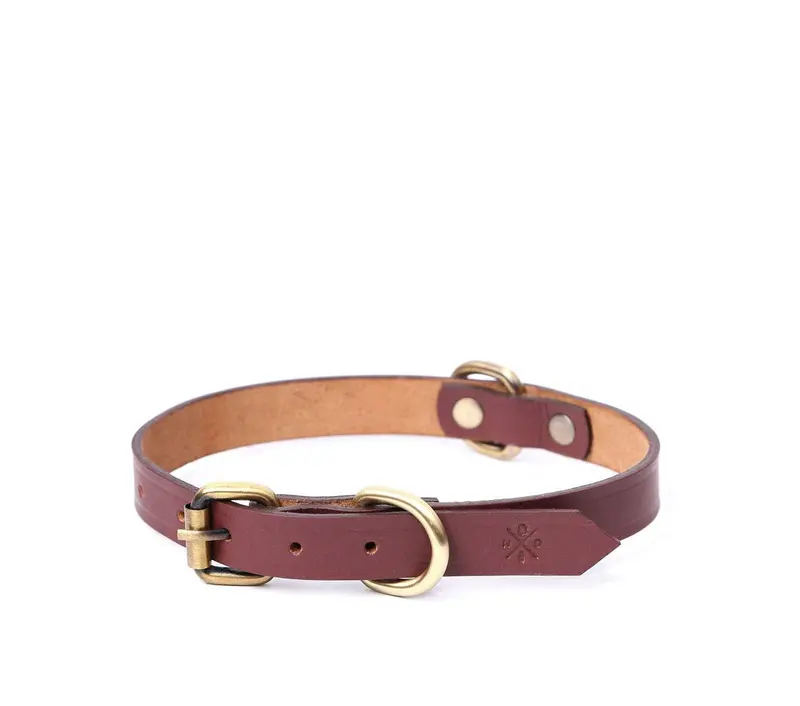 Classic Slim Fit Small Dog Collar 3