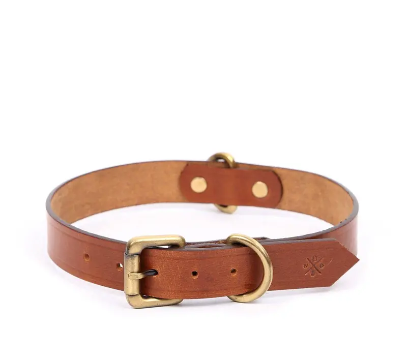 Classic Wide-Fit Big Dog Collar 1