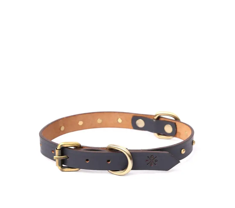 Compact Dog Collar With Round Studs 3