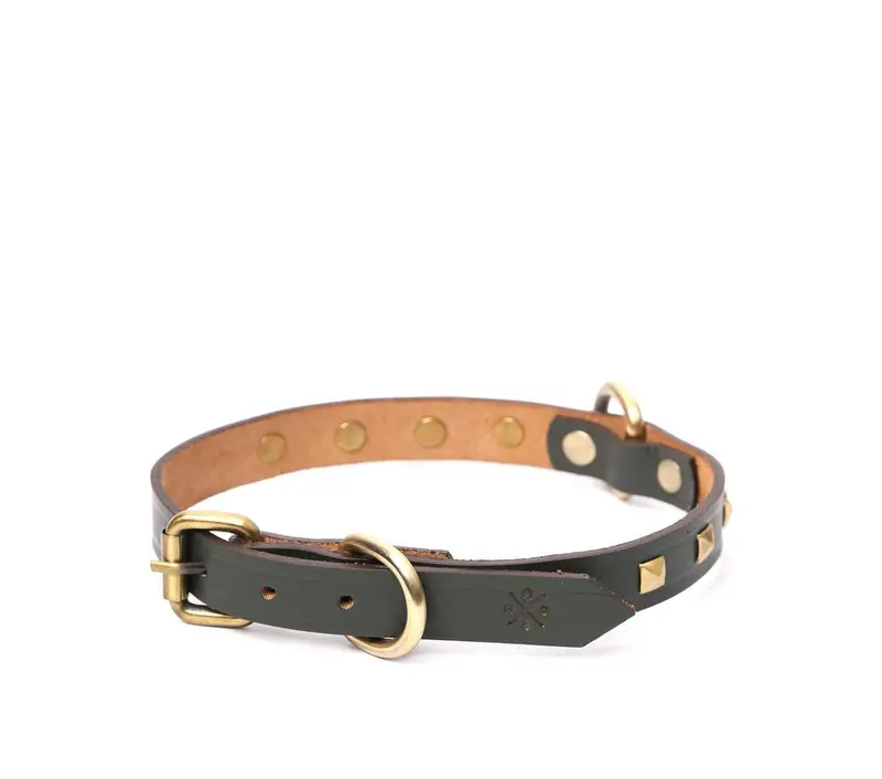Compact Dog Collar With Square Studs 3