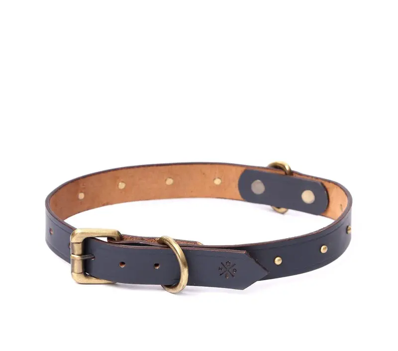 Extra-Wide Dog Collar With Round Studs 3