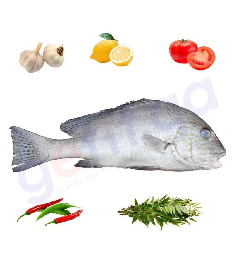 Farsh Painted Sweetlips – 1 Kg Fresh Seafood 1