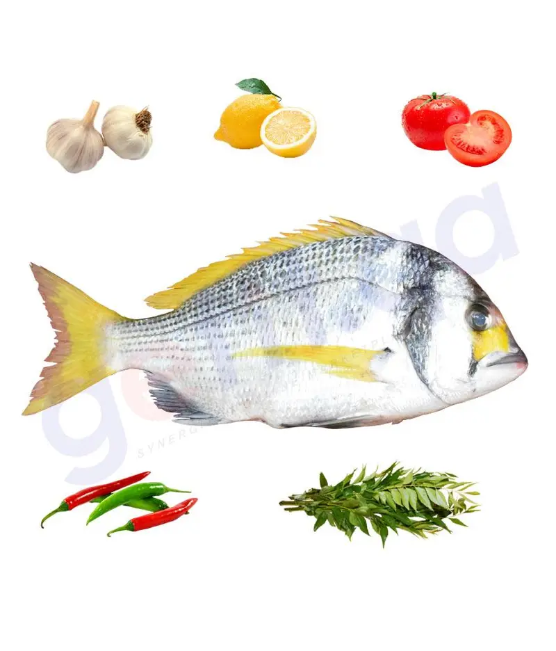 Faskar Two-Bar Seabream – 1 Kg Fresh Catch 1