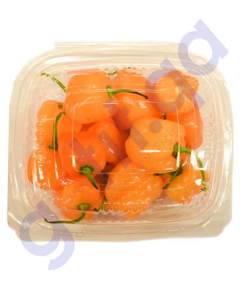 Filfil Round Bell Pepper Chilli – Spicy, Vibrant & Crisp Fresh Chili 1