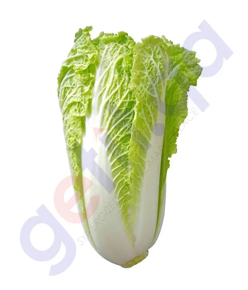 Napa Cabbage (Chinese Cabbage) – Fresh Head 1