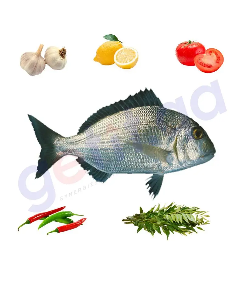 Qurqufan Haffara Seabream – Fresh Whole Fish, 1 Kg 1