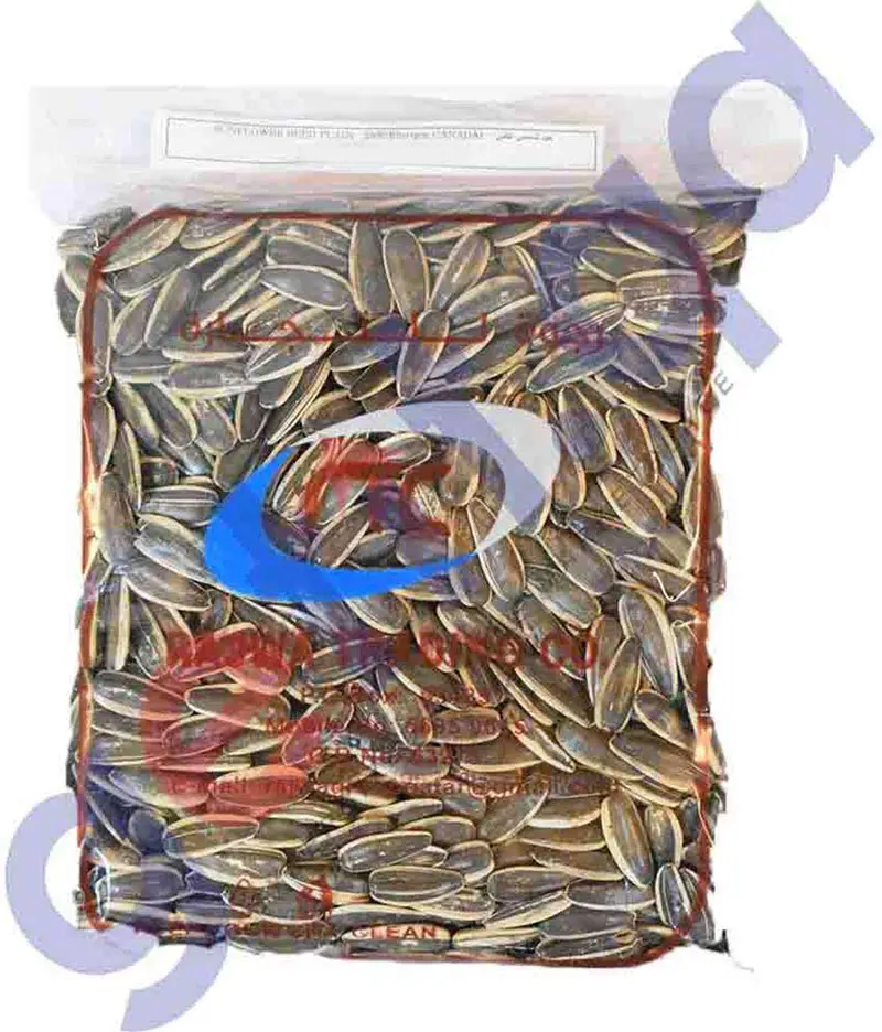 Rajwa Plain Sunflower Seeds – 150G 1