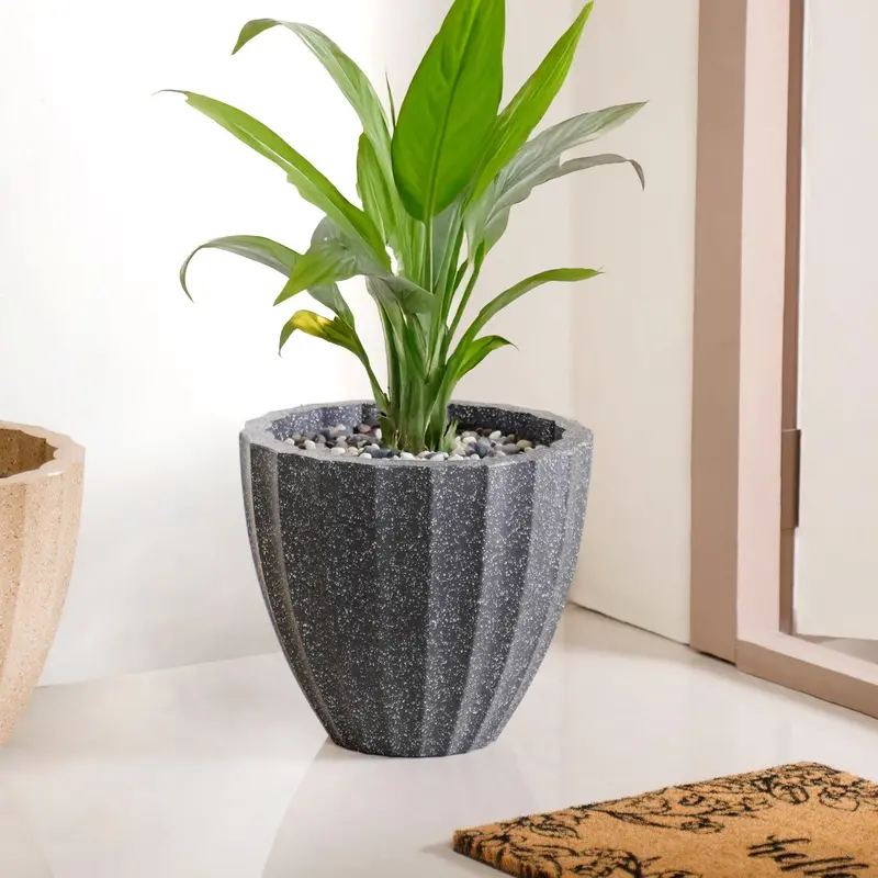 Ribbed Black Ceramic Planter – Planterra 12" X 12" Contemporary Pot 1
