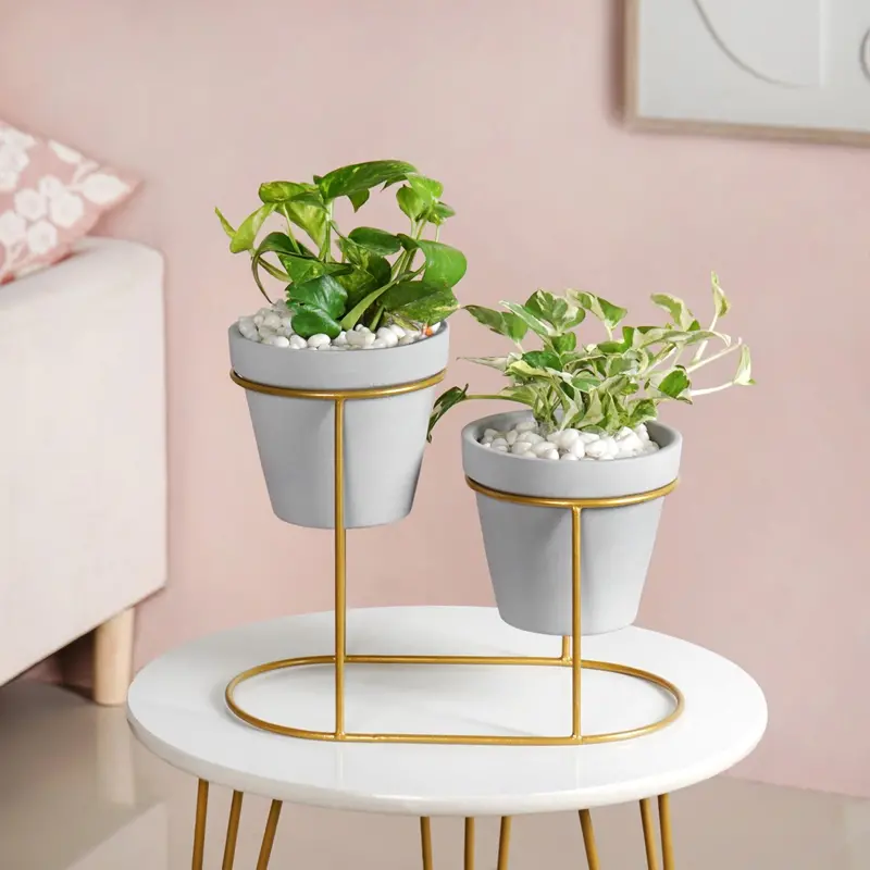 Terraduo Grey Ceramic Planters With Gold Two-Tier Stand 1